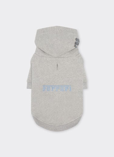 Sudadera mascota Ferrari x Charles Leclerc Ferrari Sudadera mascota Ferrari x Charles Leclerc Gris melange 49191f