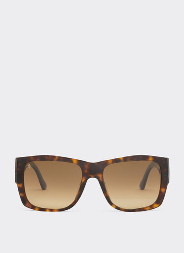 Ferrari Ferrari sunglasses in Havana acetate with polarised brown gradient lenses Tortoiseshell F1264f