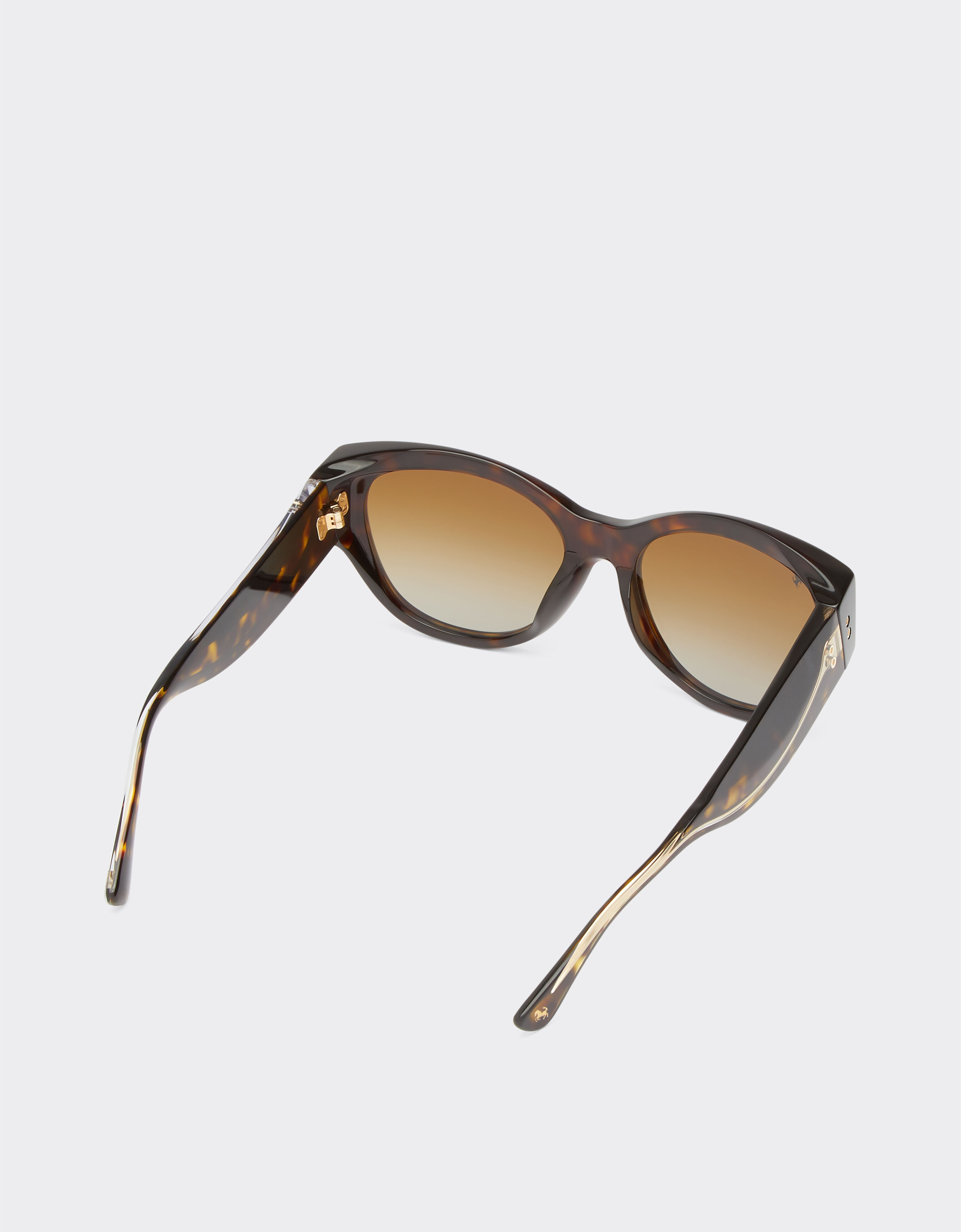 Ferrari Ferrari sunglasses in Havana acetate with polarised brown gradient lenses Tortoiseshell F1273f