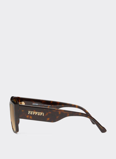 Ferrari Ferrari sunglasses in Havana acetate with polarised brown gradient lenses Tortoiseshell F1264f