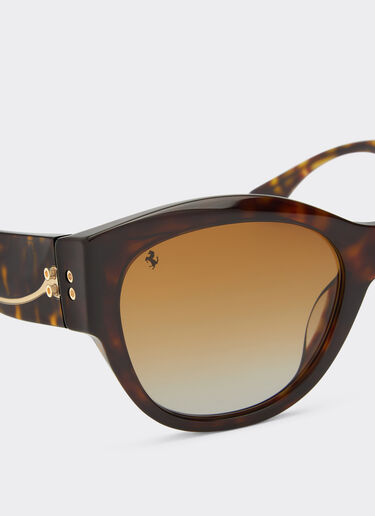 Ferrari Ferrari sunglasses in Havana acetate with polarised brown gradient lenses Tortoiseshell F1273f