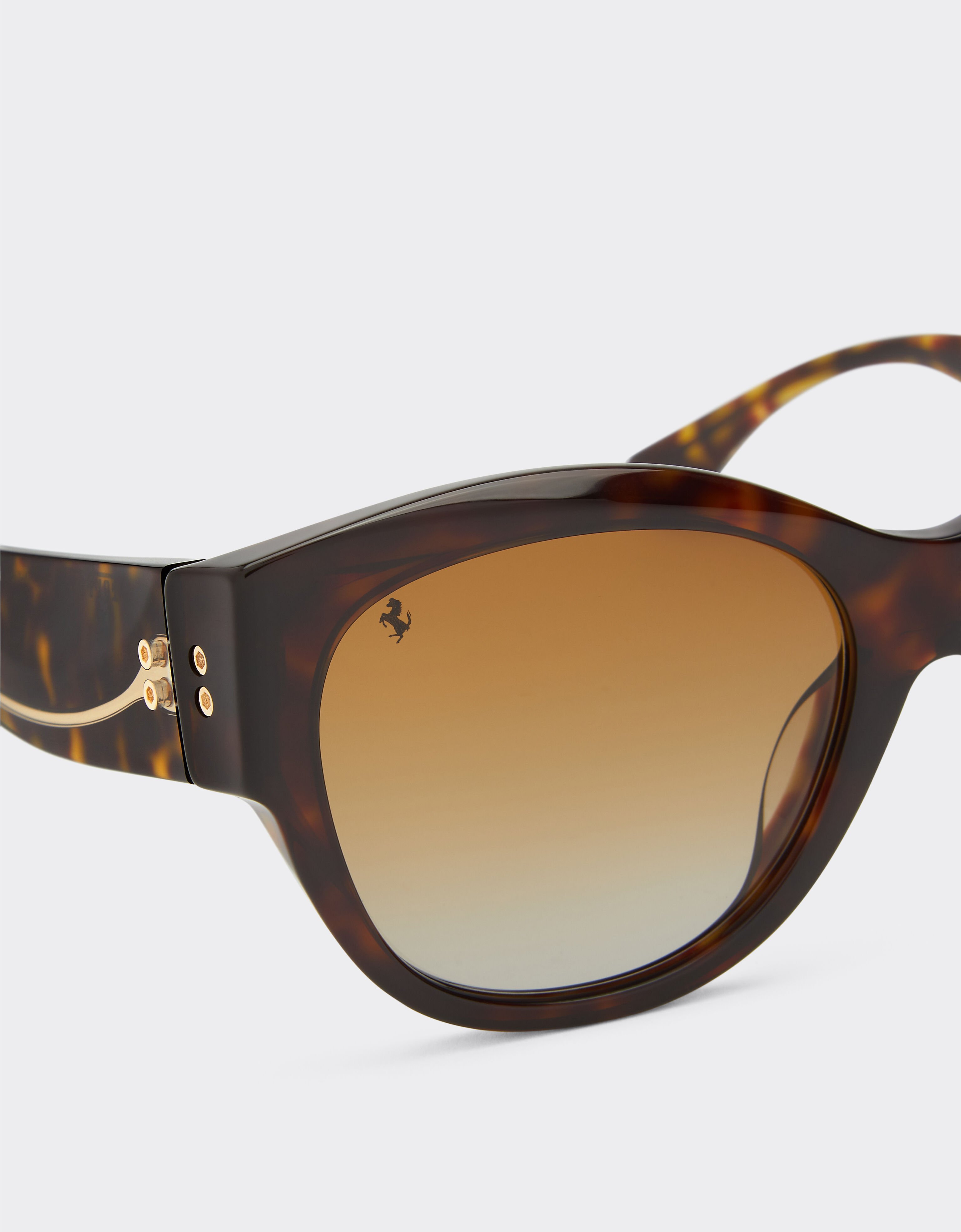 Ferrari Ferrari sunglasses in Havana acetate with polarised brown gradient lenses Tortoiseshell F1273f