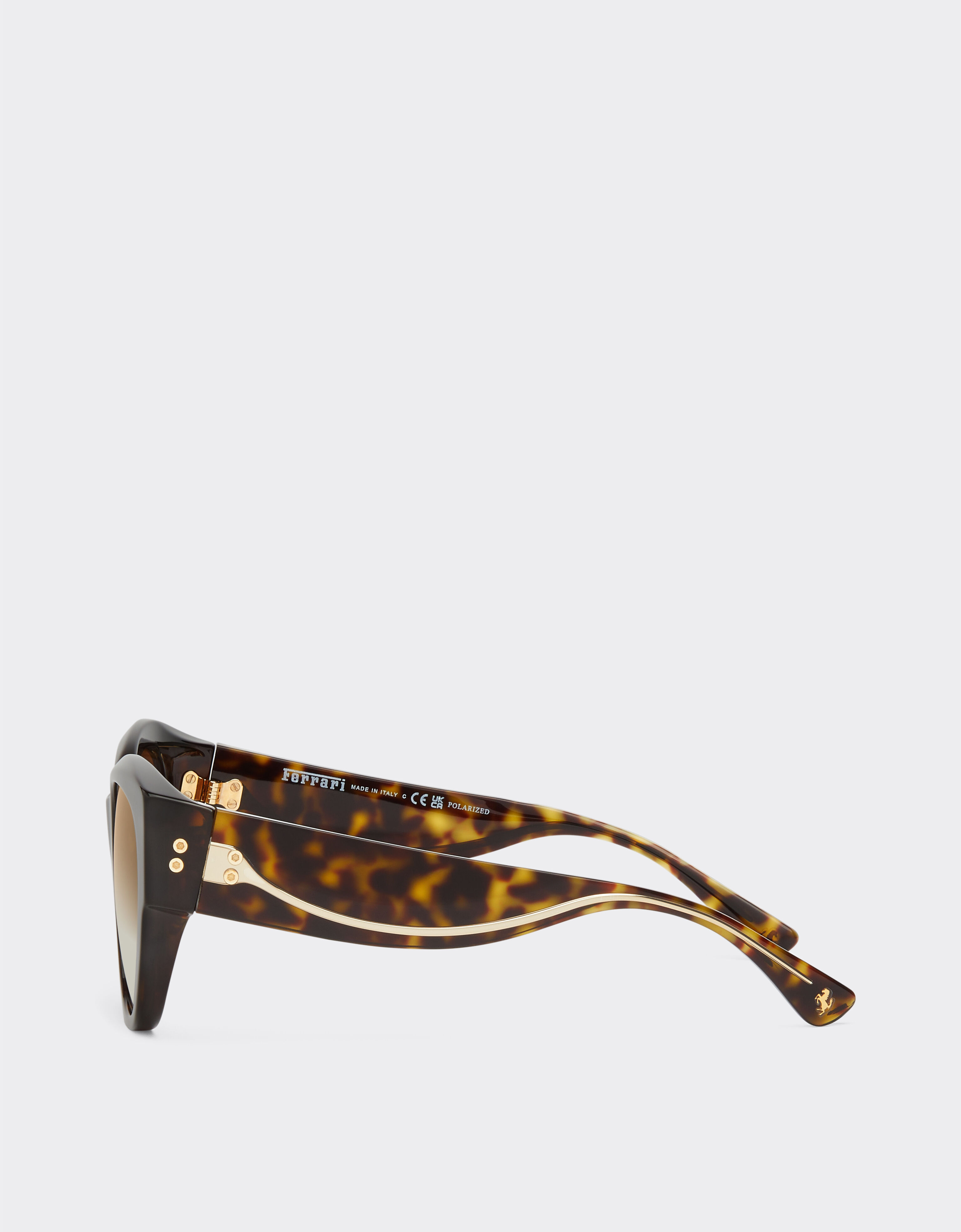 Ferrari Ferrari sunglasses in Havana acetate with polarised brown gradient lenses Tortoiseshell F1273f