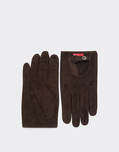 Ferrari Suede leather driving gloves Espresso 22709f