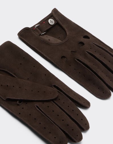Ferrari Guantes de conducción de ante Espresso 22709f