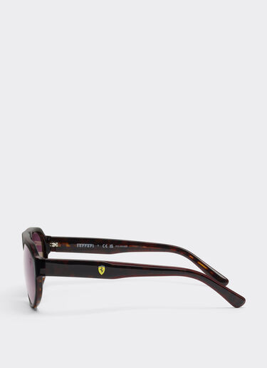 Ray-Ban for Scuderia Ferrari 0FZ6027 en acetato Havana y burdeos con lentes rojas degradadas Ferrari Ray-Ban for Scuderia Ferrari 0FZ6027 en acetato Havana y burdeos con lentes rojas degradadas MULTICOLOR LY0SG1435EXT0001f