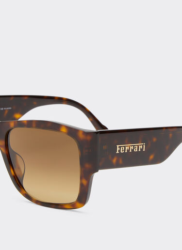 Ferrari Ferrari sunglasses in Havana acetate with polarised brown gradient lenses Tortoiseshell F1264f