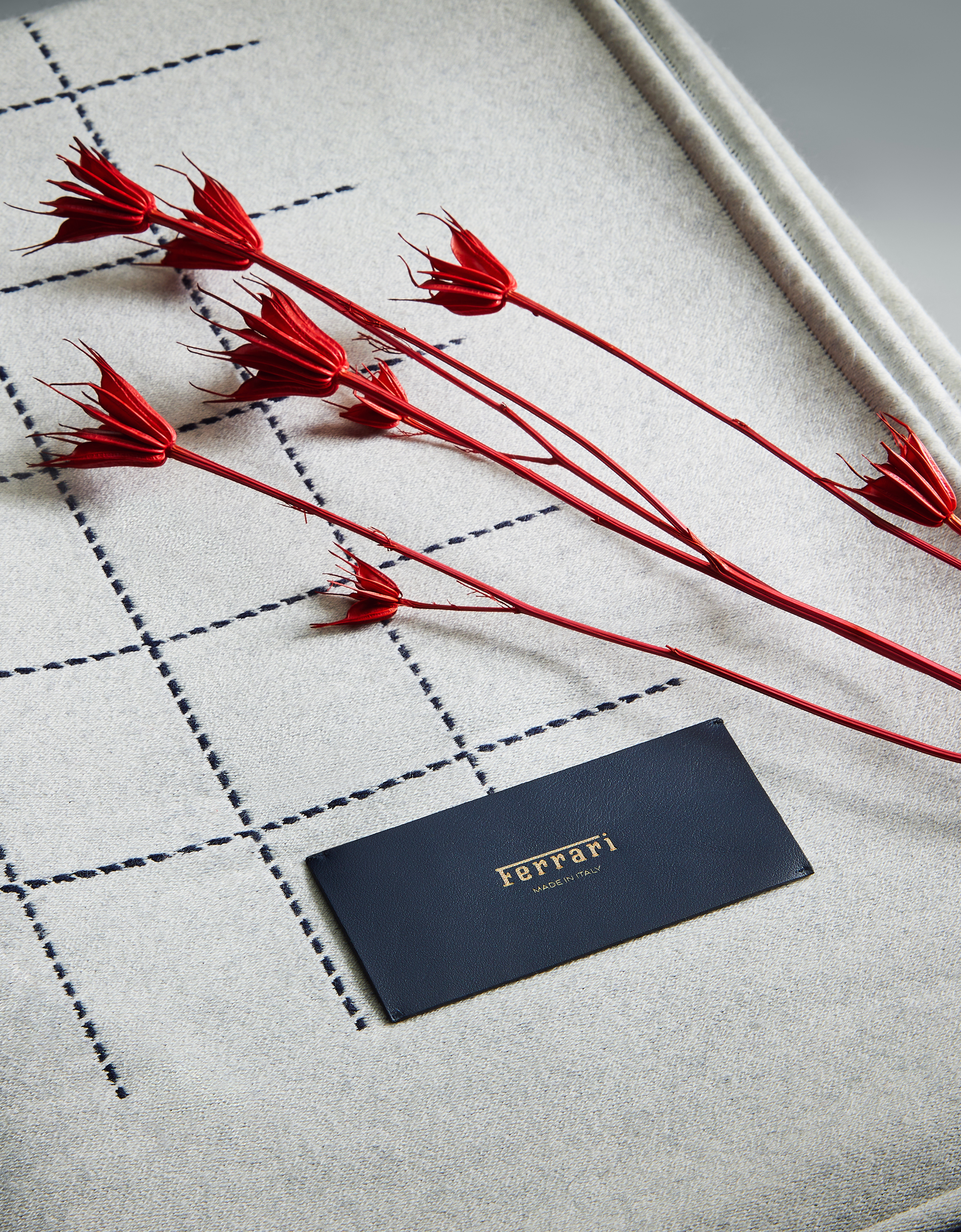 Ferrari Two-tone Wool Blanket In Blue